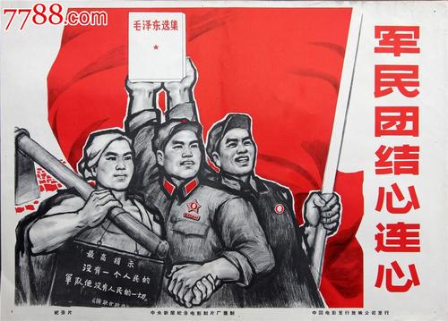 一比一仿新南威尔士州驾驶执照
